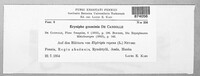 Blumeria graminis image